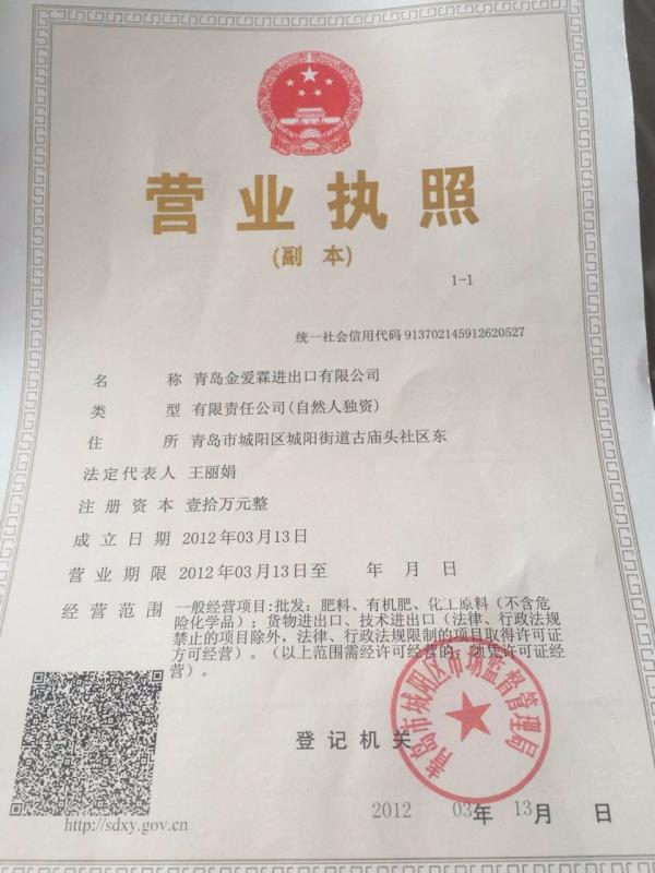 金愛霖榮譽資質
